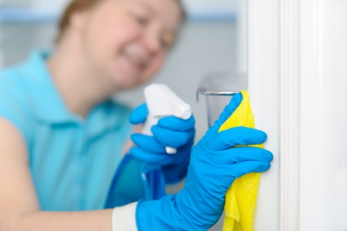 Deep carpet cleaning process in a Tulse Hill home