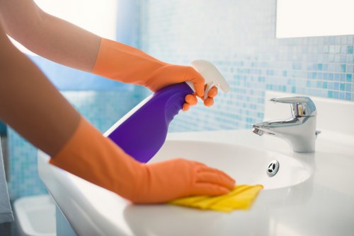 Pet odour removal cleaning process in Tulse Hill