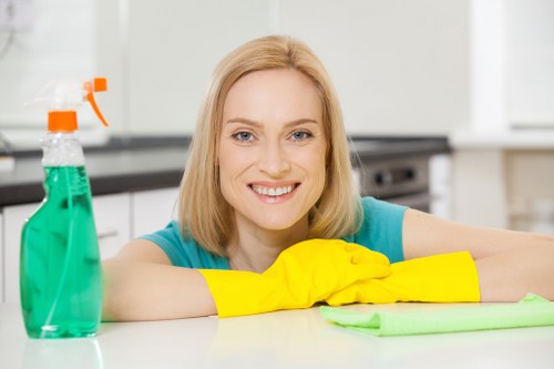 Deep cleaning pet odour from upholstery in a Tulse Hill home
