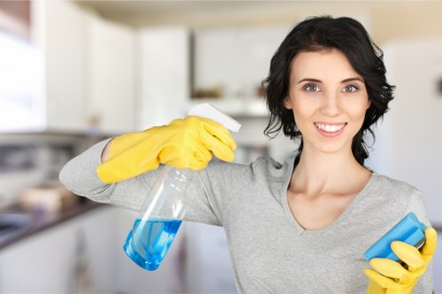 Upholstery cleaning equipment beside a living room sofa