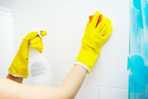 Professional carpet cleaning equipment in Tulse Hill
