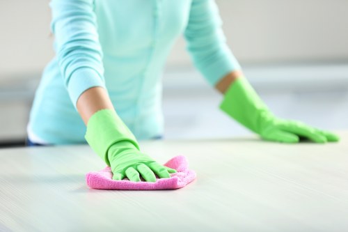 Professional upholstery cleaning on a leather sofa