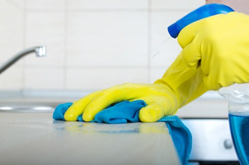 Professional carpet cleaner working on a residential carpet