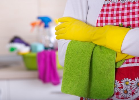 Steam cleaning equipment used for carpet cleaning in Tulse Hill