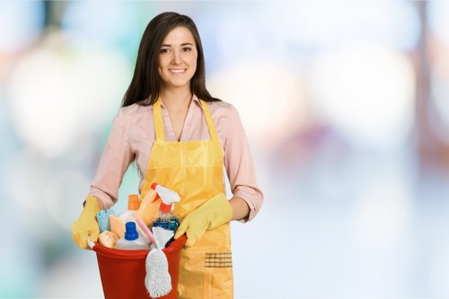 Expert curtain cleaning methods in Tulse Hill