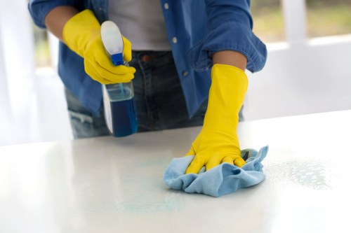 Professional carpet care and maintenance service in Tulse Hill