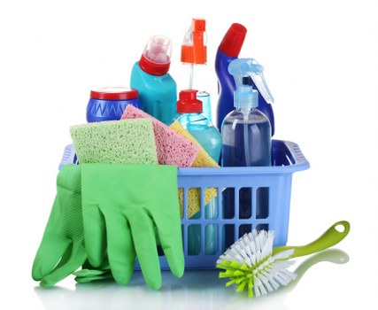 Recording details for a carpet cleaning complaint