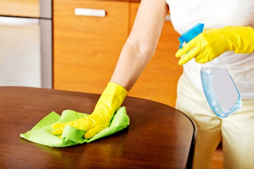 Professional stain removal for stubborn marks